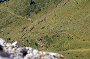 LATEMAR VERTICAL KM 2016 (PH ELVIS) 28900